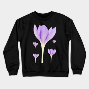 Crocus goulimyi   AGM  Autumn flowering crocus Crewneck Sweatshirt